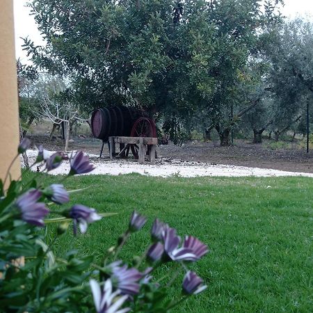 La Buganvilla, Descanso Entre Olivares Hornachuelos Exterior photo