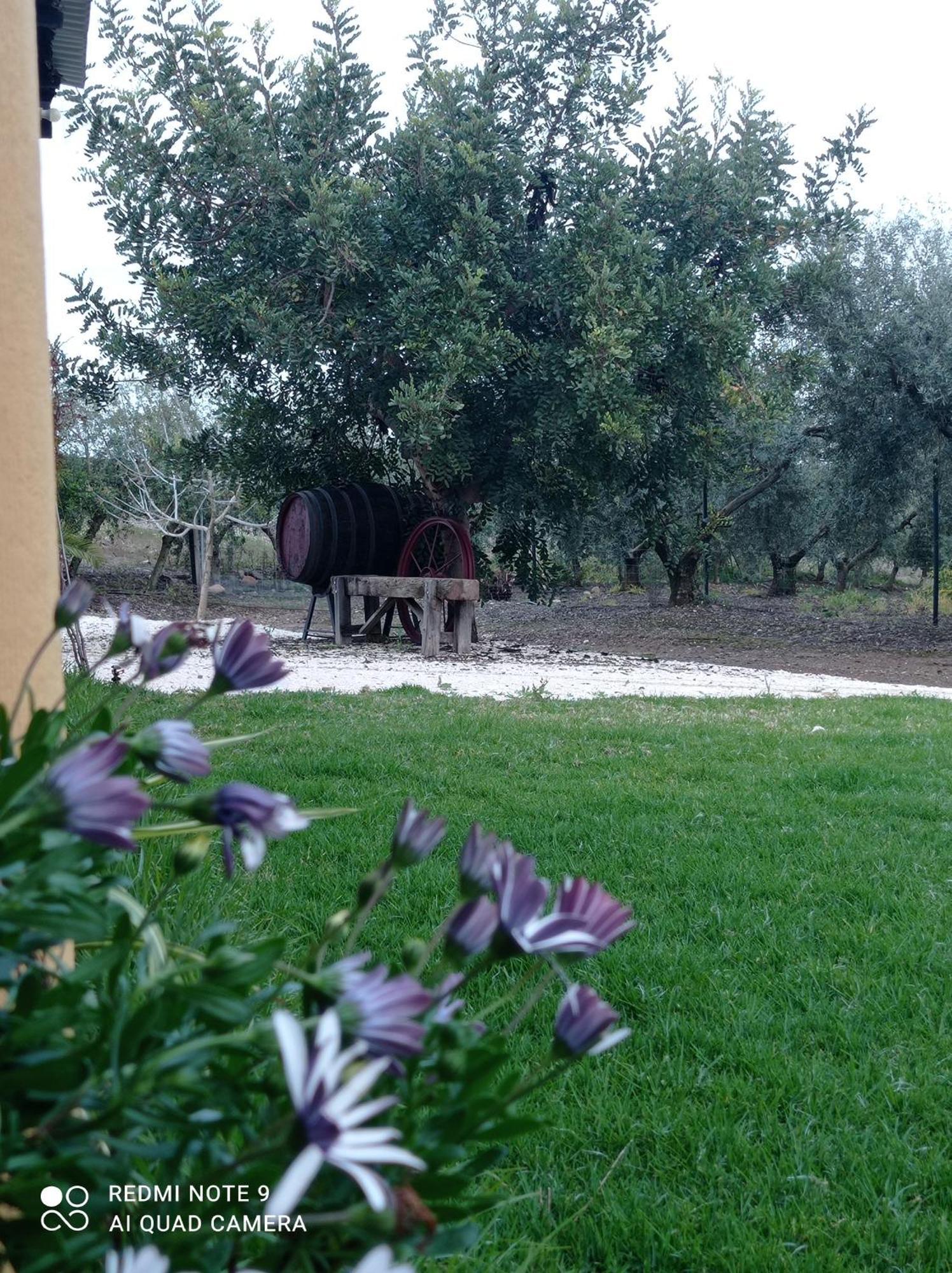 La Buganvilla, Descanso Entre Olivares Hornachuelos Exterior photo